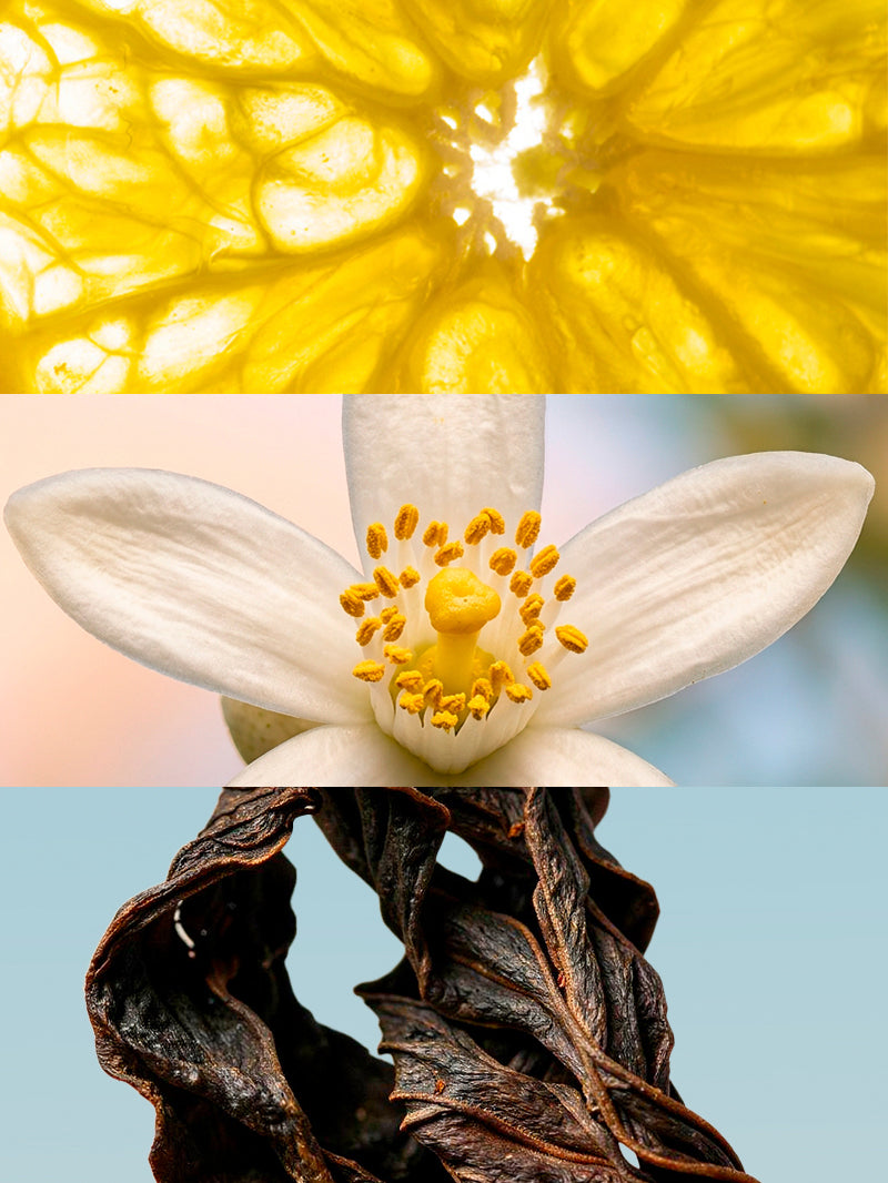 Nº135