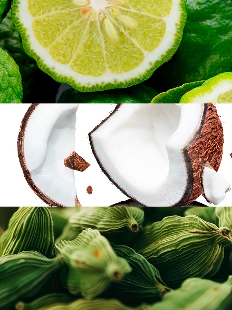 Nº 35