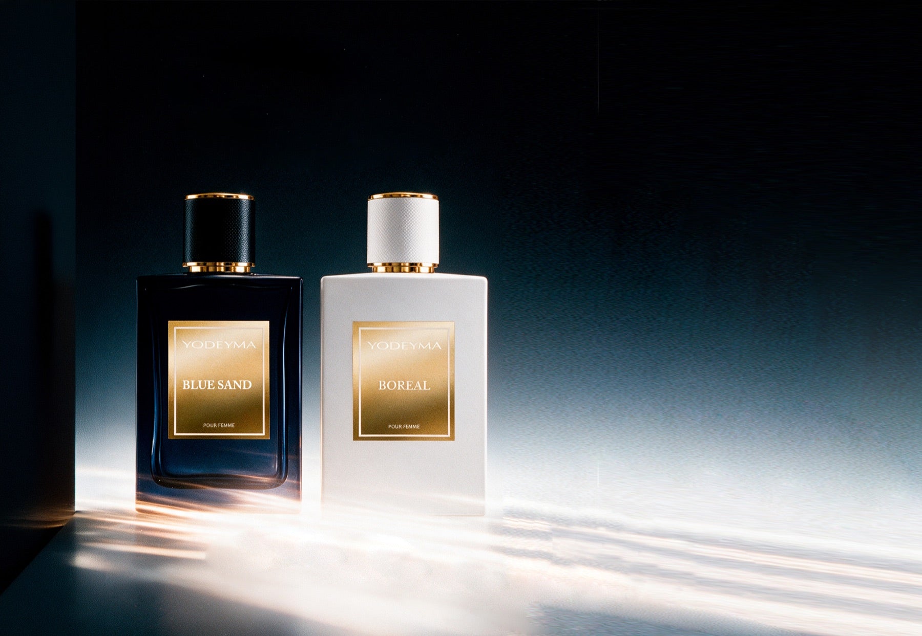 DiscoverThe Niche Collection