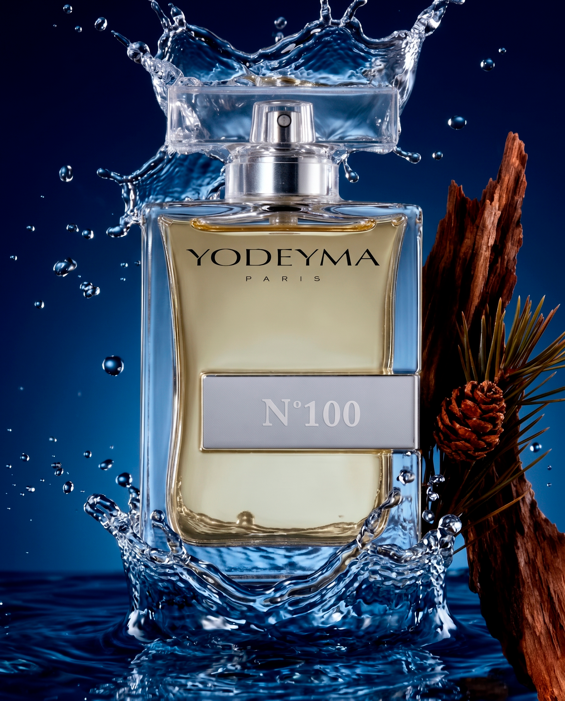 Nº100
