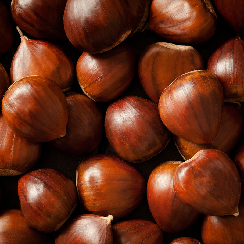 Chestnut