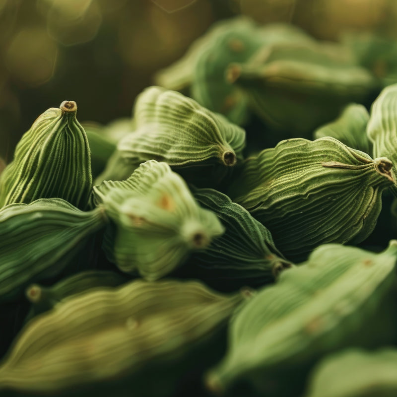 Cardamom