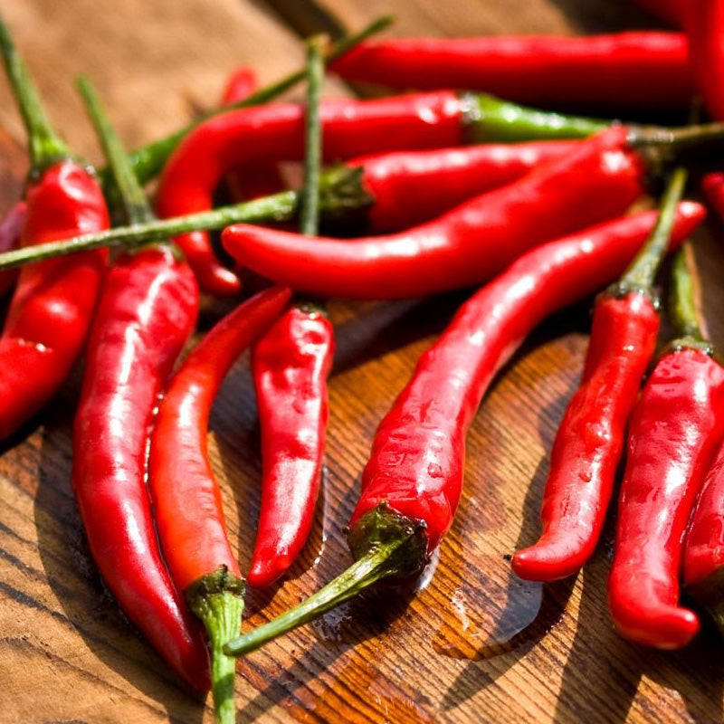 Chilli