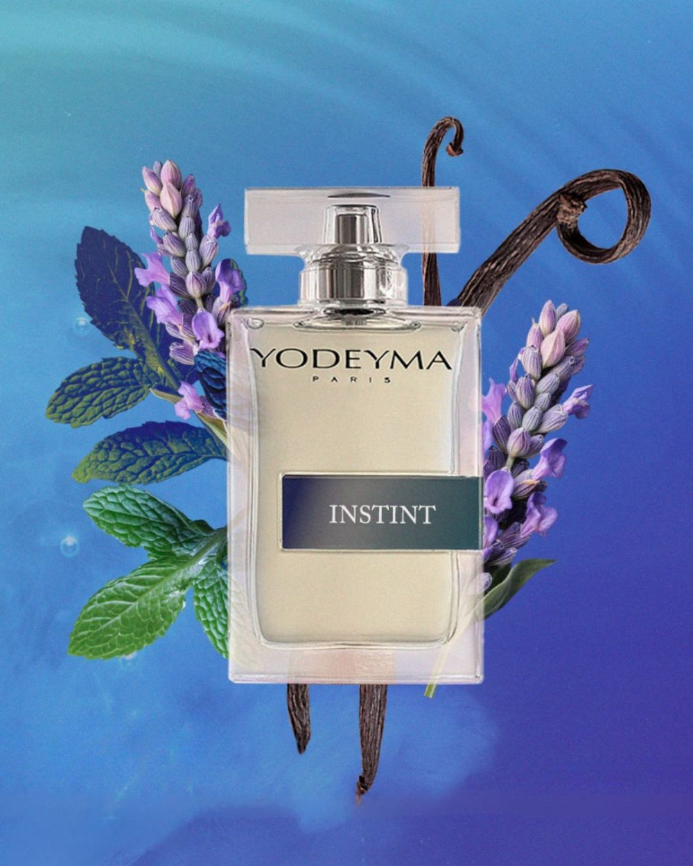 Instint