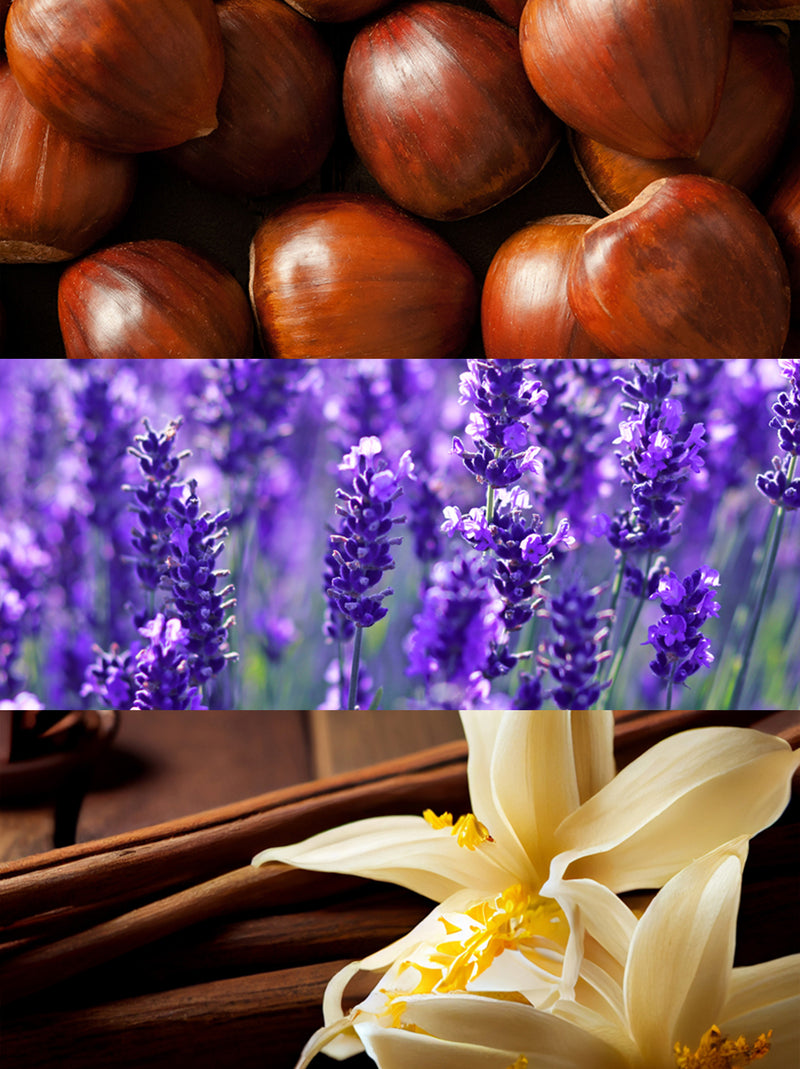 Olfactory notes