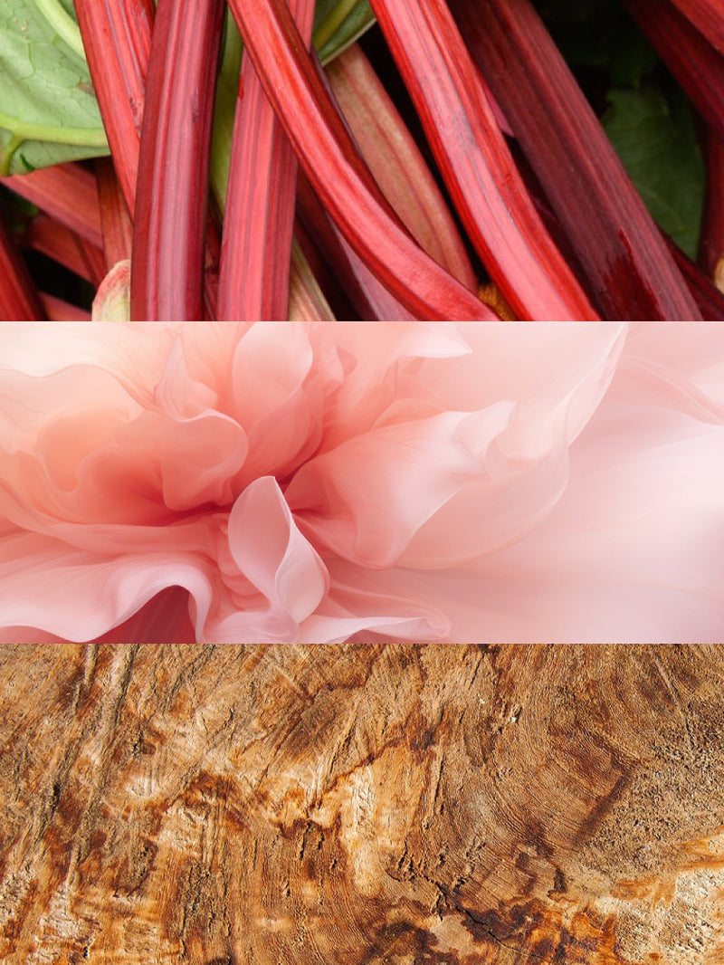 Olfactory notes
