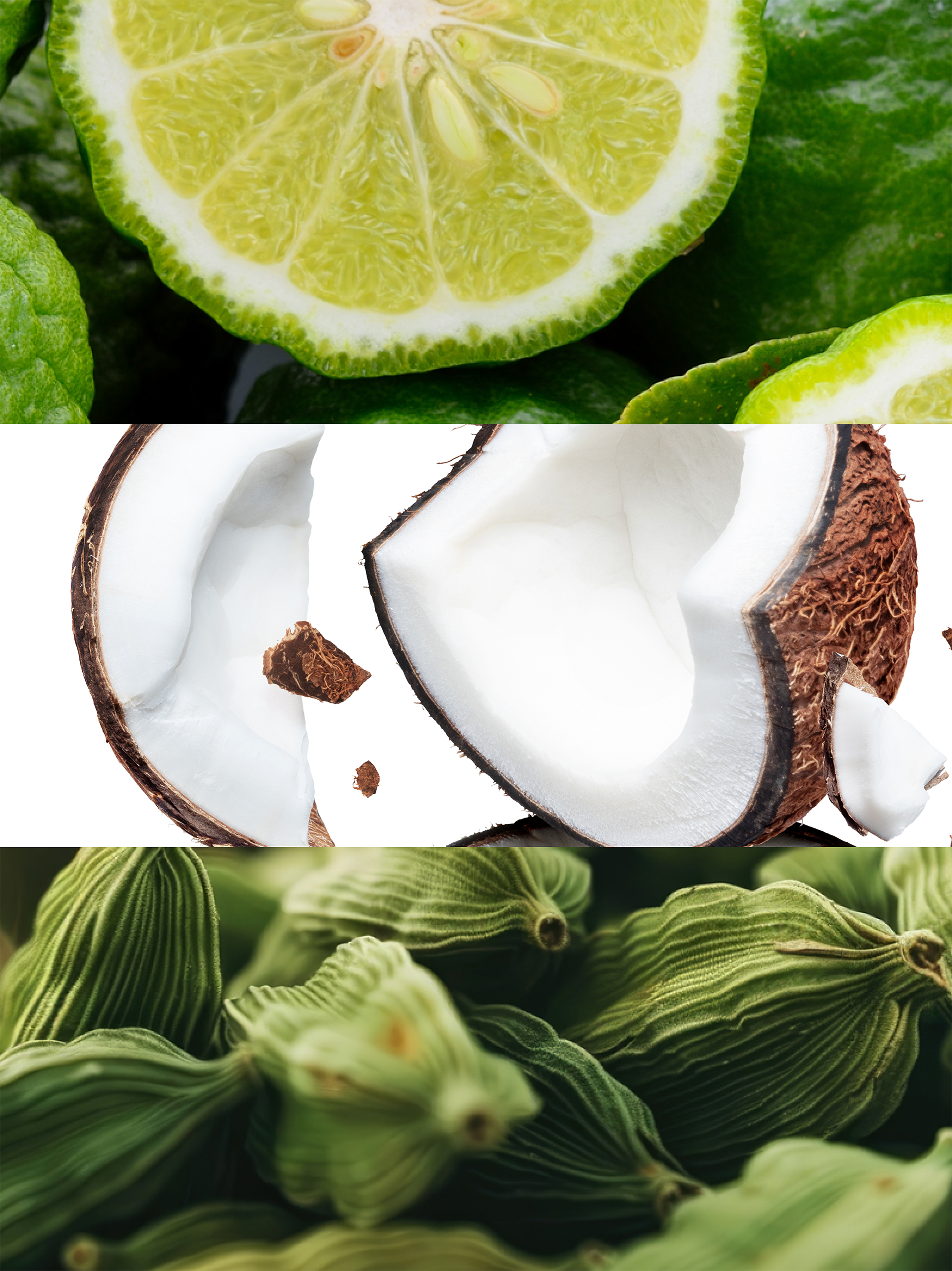 Nº 35