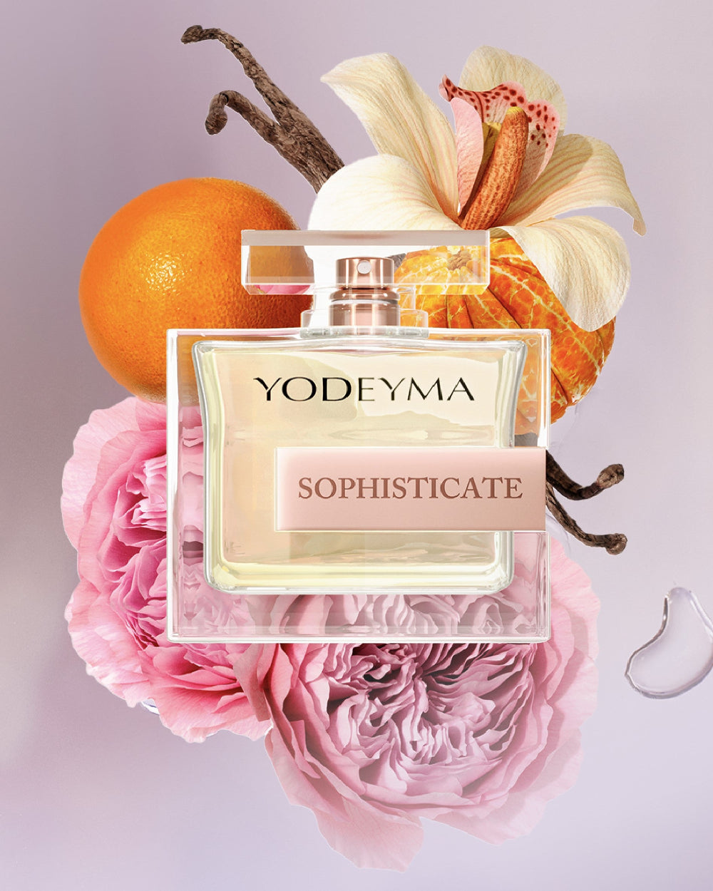 Sophisticate