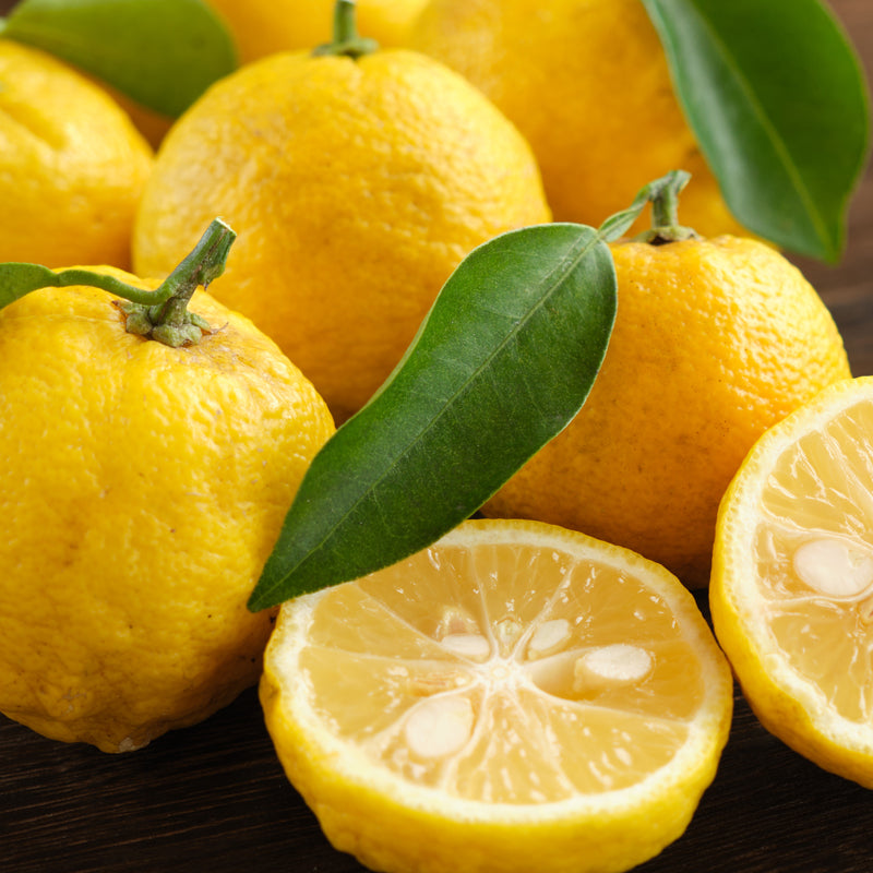 Yuzu
