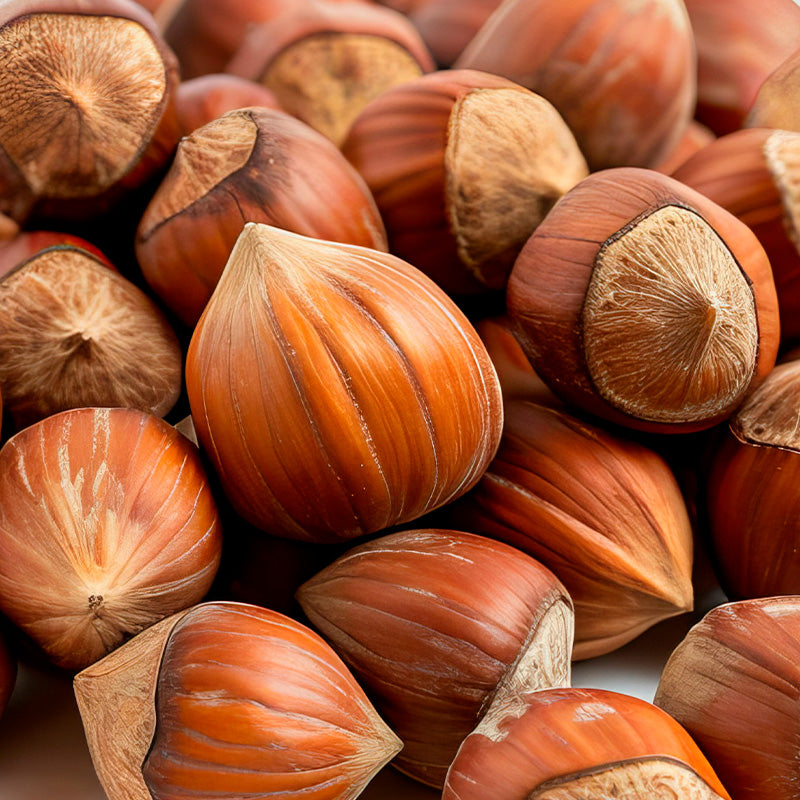 Hazelnut