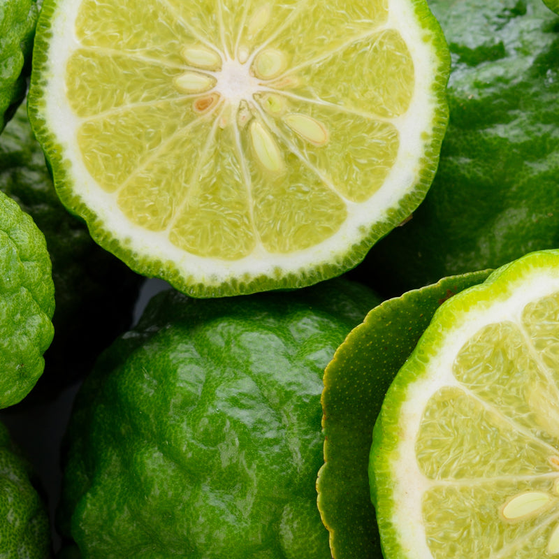 Bergamot