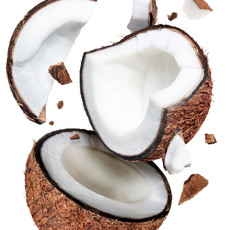 Coconut