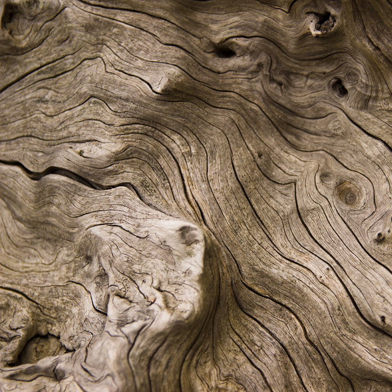 Wood